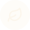eco-friendly leaf image