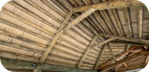 roof picture